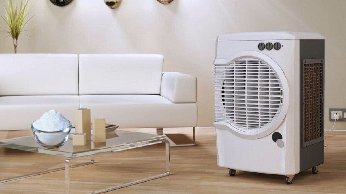 Cooler चलाते ही हो रही चिपचिपी गर्मी? कमरे से दूम दबाकर भागेगा उमस, बस रख दें यह सफेद पाउडर