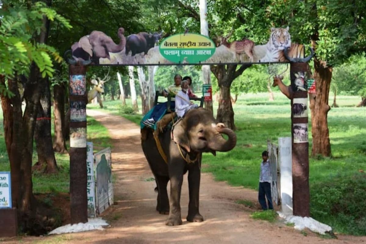 Betla National Park latehar