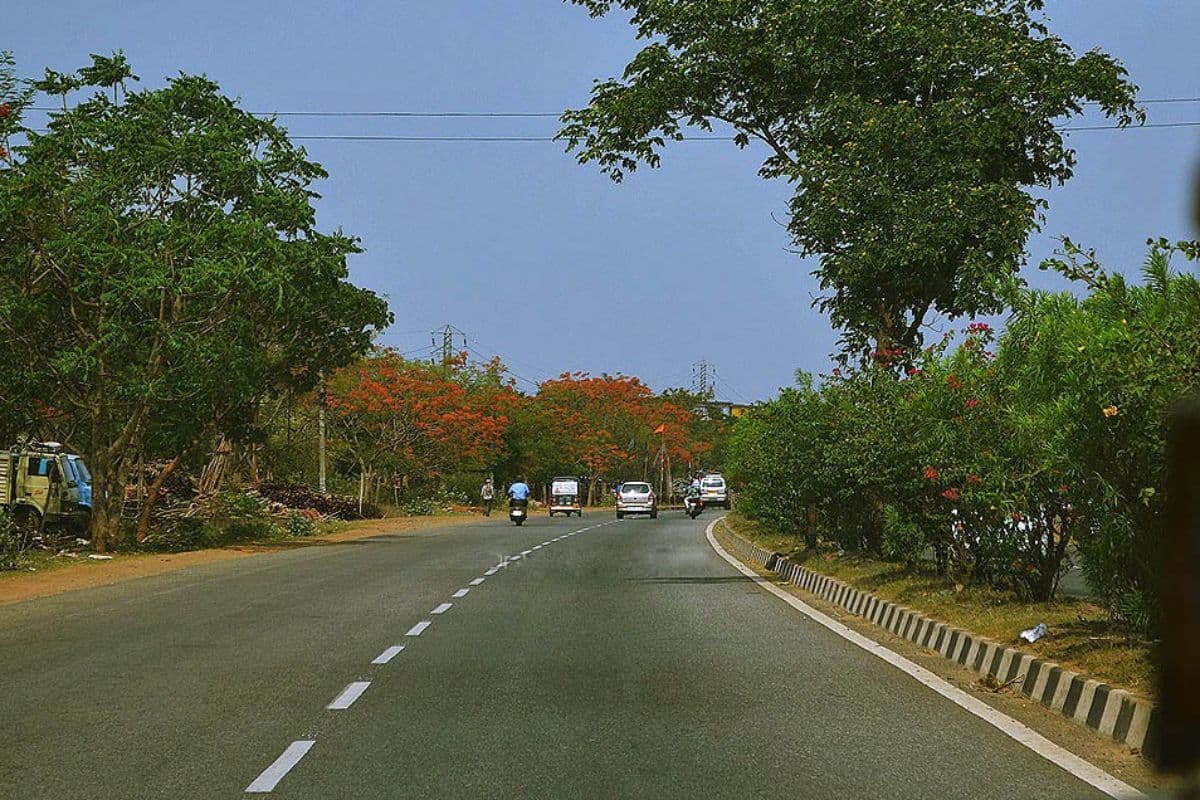 मुंगेर-मिर्जाचौकी फोरलेन पर अब सड़क पर नहीं आयेंगे जानवर, टकराव रोकेगी मजबूत दीवार