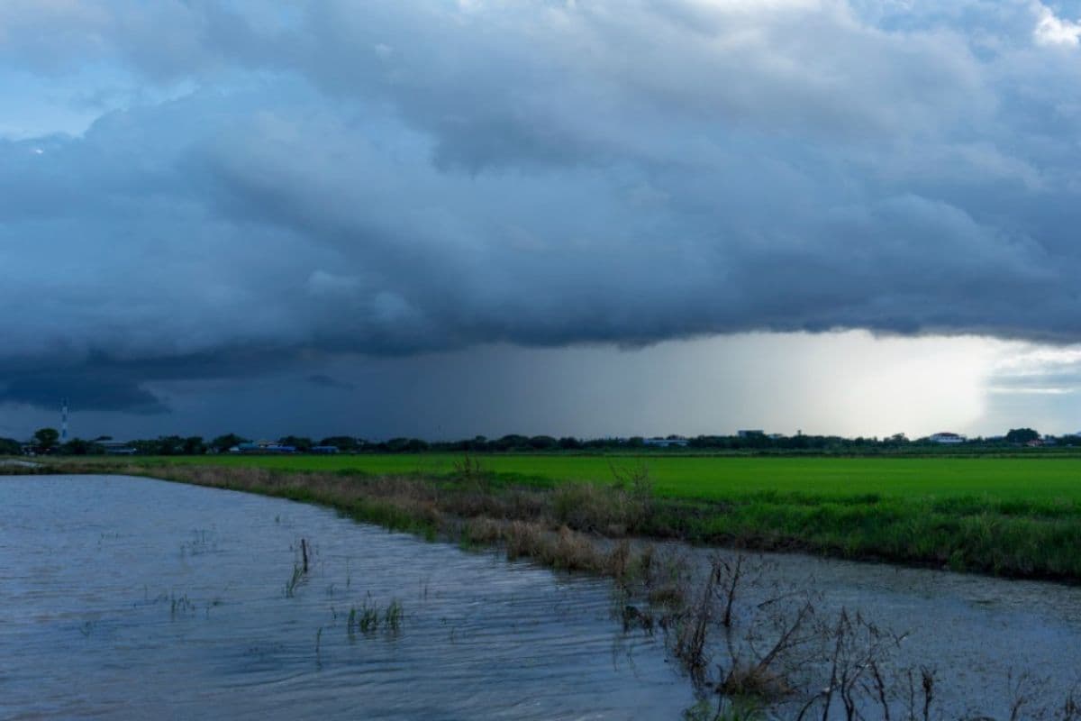 Bihar Rain Alert: बिहार के इस जिले दो दिन रहेगी गर्मी, फिर हल्की बारिश का अनुमान, IMD ने जारी किया अलर्ट