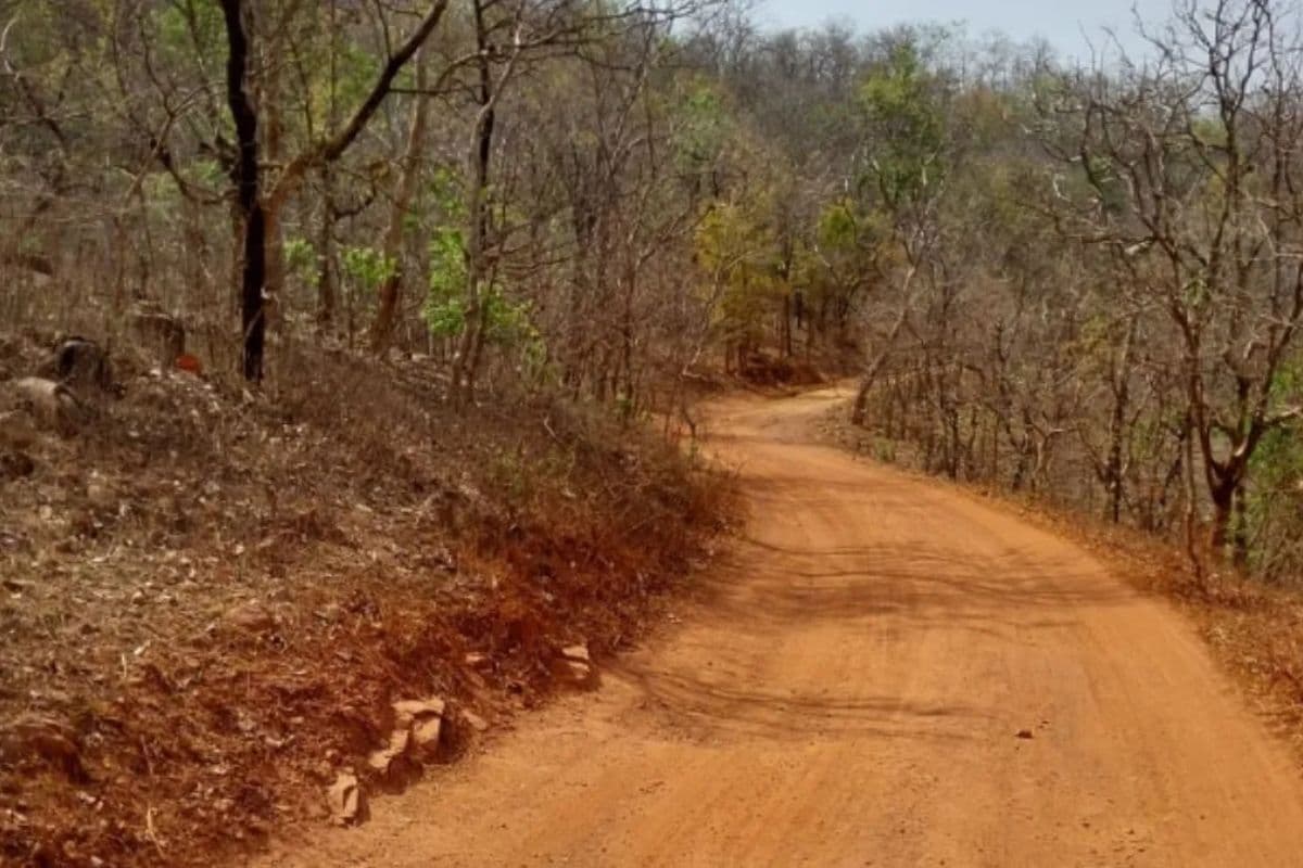 Bihar: आजादी के बाद पहली बार इस इलाकें में पहुंचेगी पक्की सड़क, 17.5 KM निर्माण को मिली मंजूरी