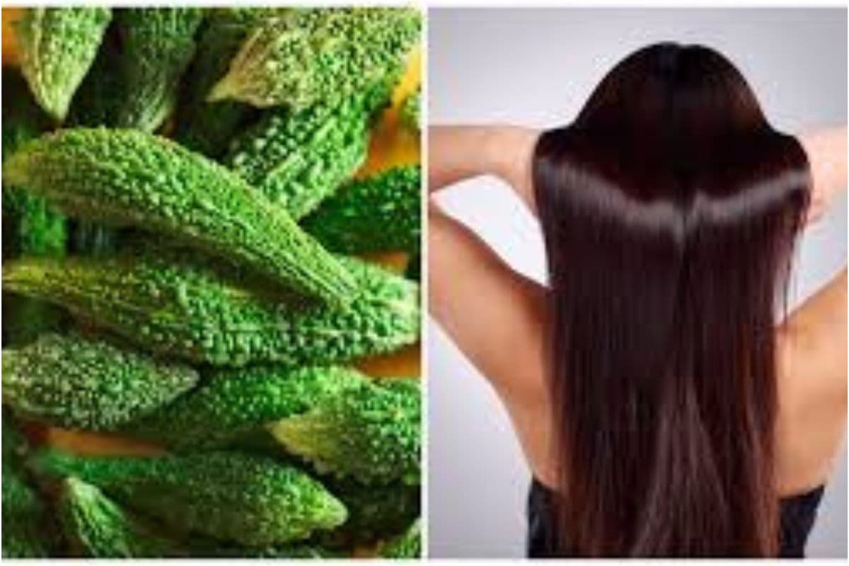 Bitter Gourd For Hair Growth: करेले को थाली नहीं,हेयर केयर रूटीन में करें शामिल और पाएं मजबूत बाल