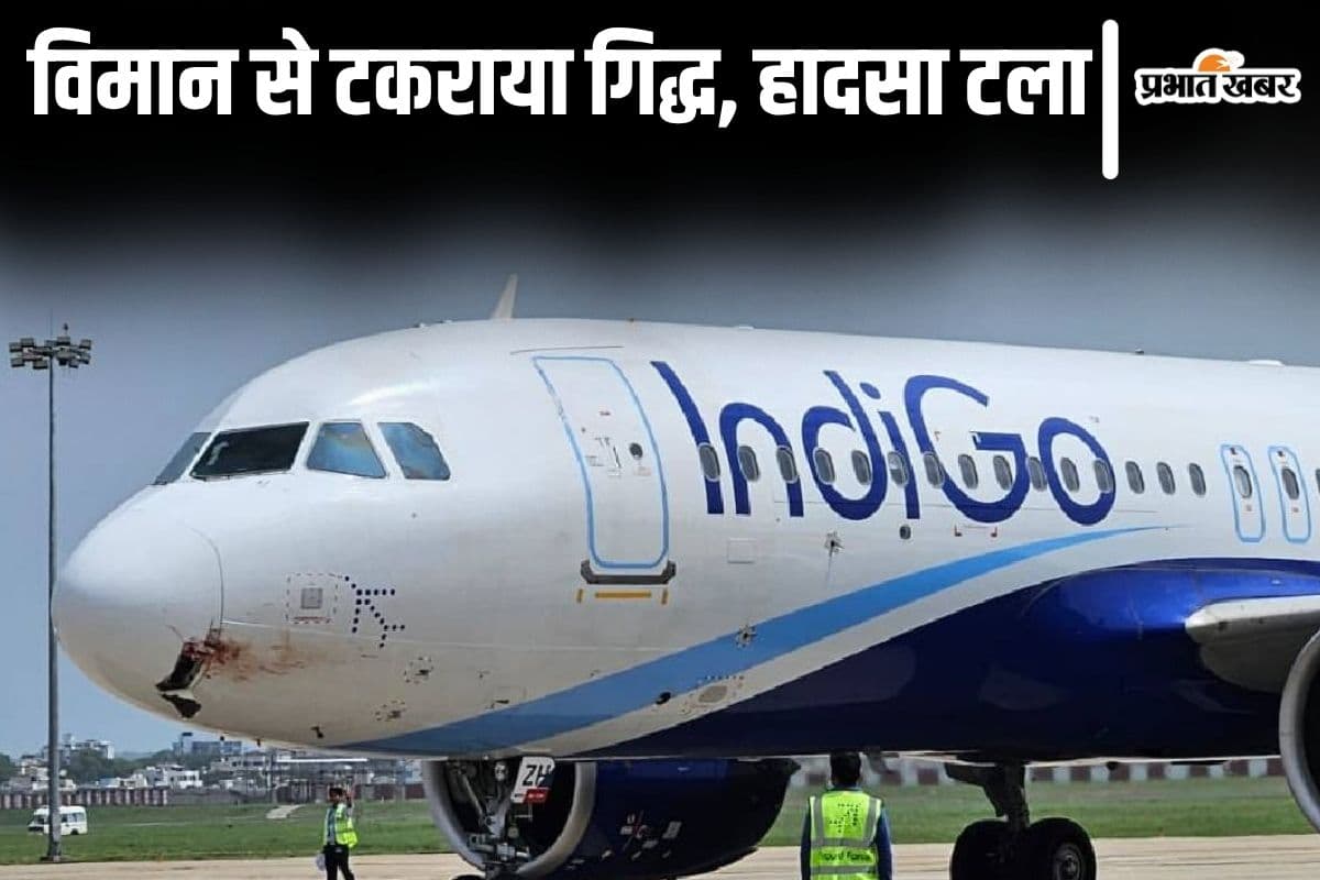 ranchi indigo flight
