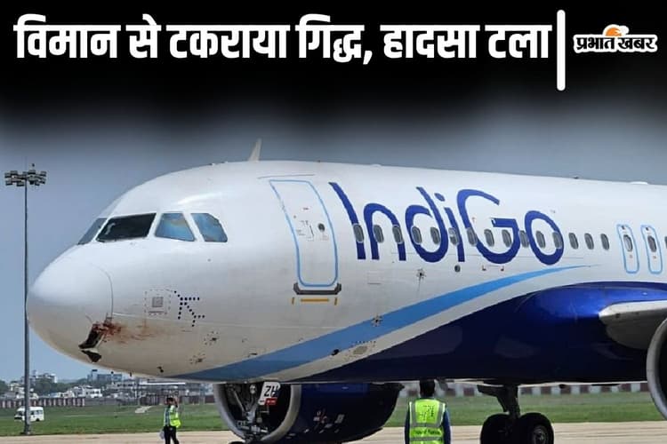 'झटका लगा..पायलट विमान फिर से ले उड़ा...' पटना के यात्री ने बतायी फ्लाइट से गिद्ध के टकराने की कहानी