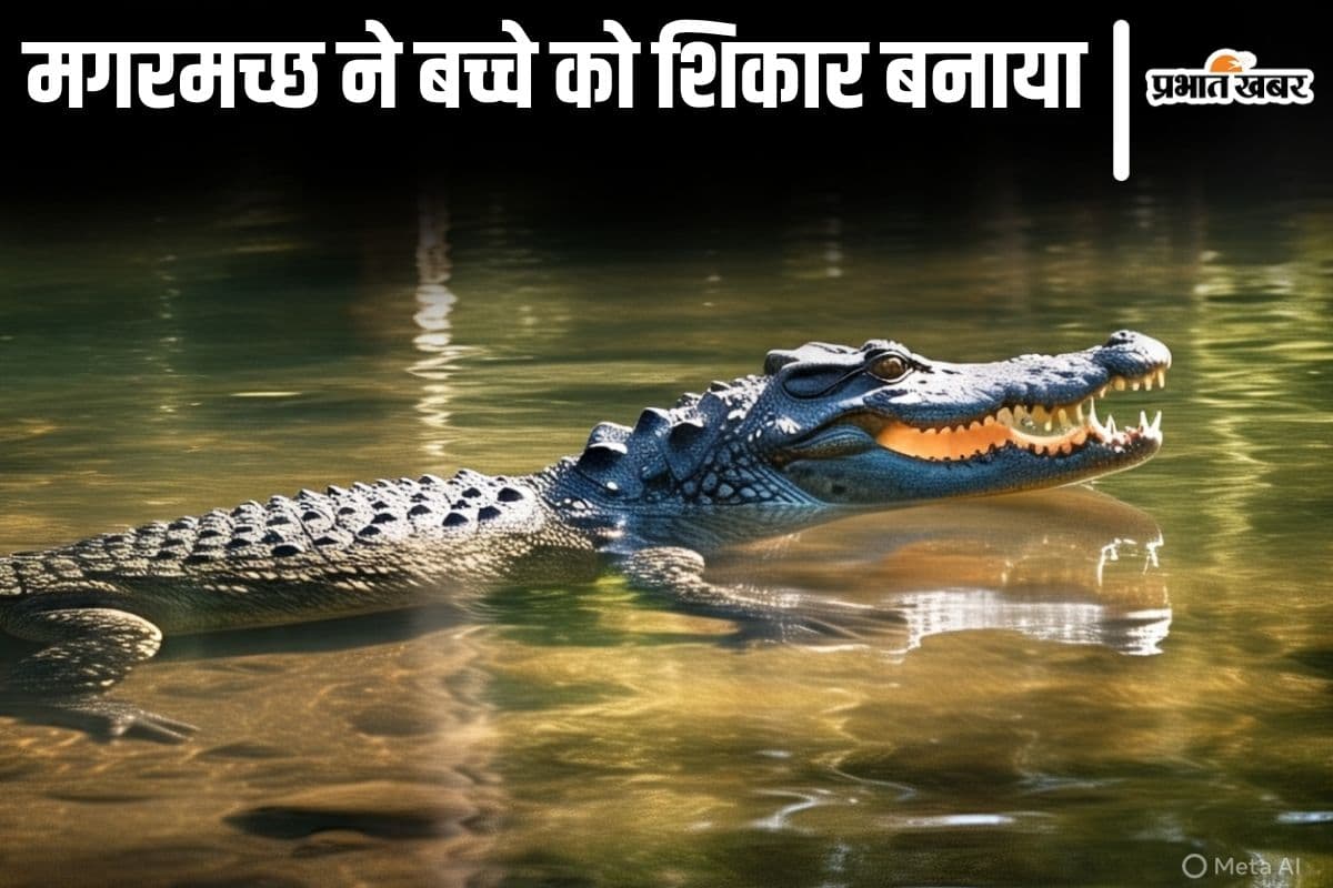 बिहार में मगरमच्छ ने बच्चे को बनाया शिकार, नहर में नहाने के दौरान खींचकर गहरे पानी में ले गया