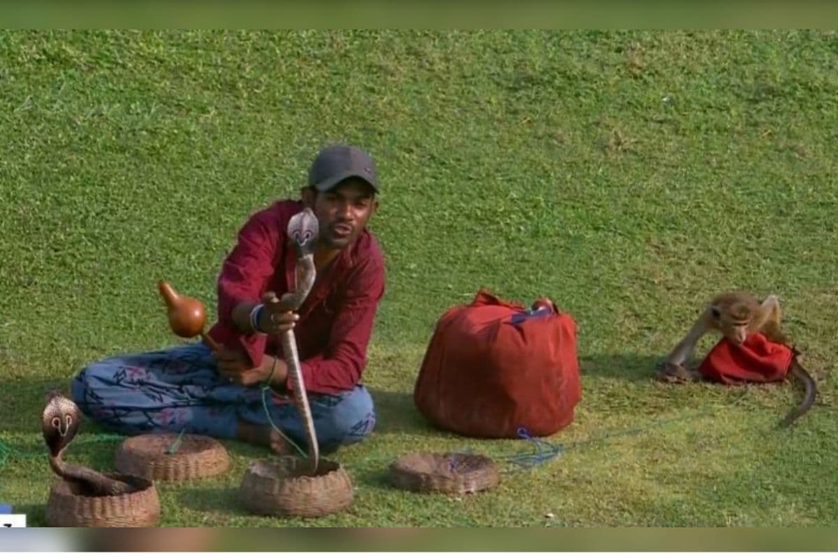 क्रिकेट मैच के दर्शक सांप-बंदर और सपेरा, बीच मैदान पर पहली बार दिखा ऐसा नजारा