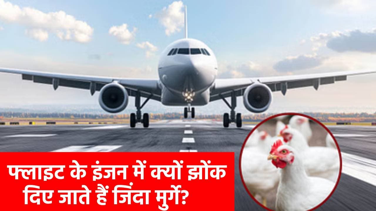 आधा भारत नहीं जानता उड़ान से पहले हवाई जहाज के इंजन को दी जाती है जिंदा मुर्गे की कुर्बानी! चौंका देगा यह वैज्ञानिक रहस्य