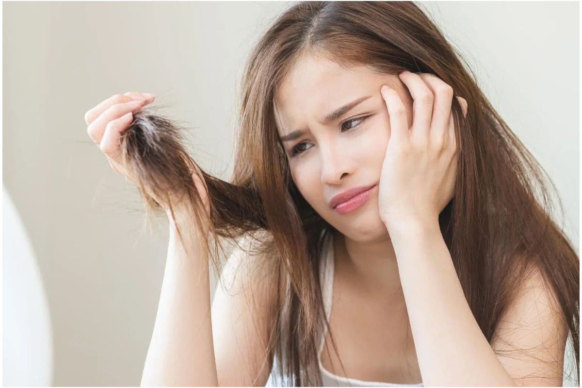 Hair Care Tips: अब नहीं दिखेंगे दोमुंहे बाल,बस ये 3 आसान टिप्स अपनाएं Hair Care Tips: अब नहीं दिखेंगे दोमुंहे बाल,बस ये 3 आसान टिप्स अपनाएं