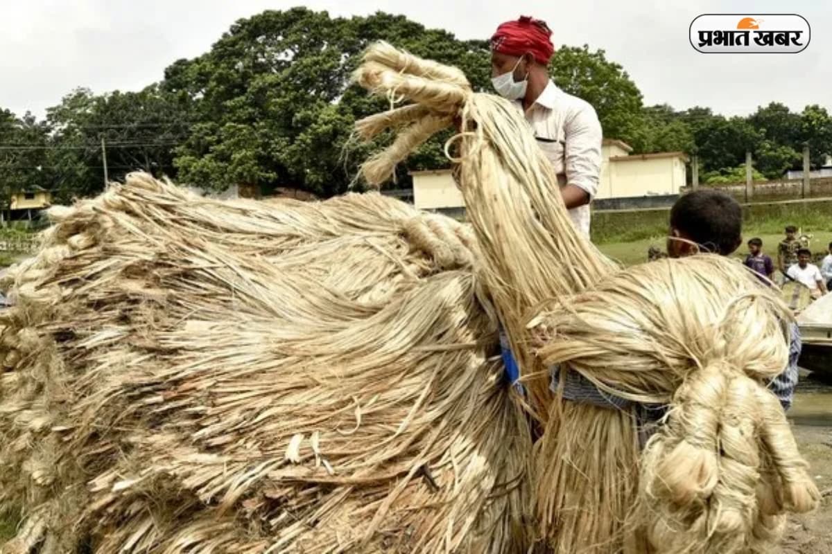 India jute import Ban: अब जूट भी बंद, भारत ने बांग्लादेश से आयात पर फिर कसी नकेल