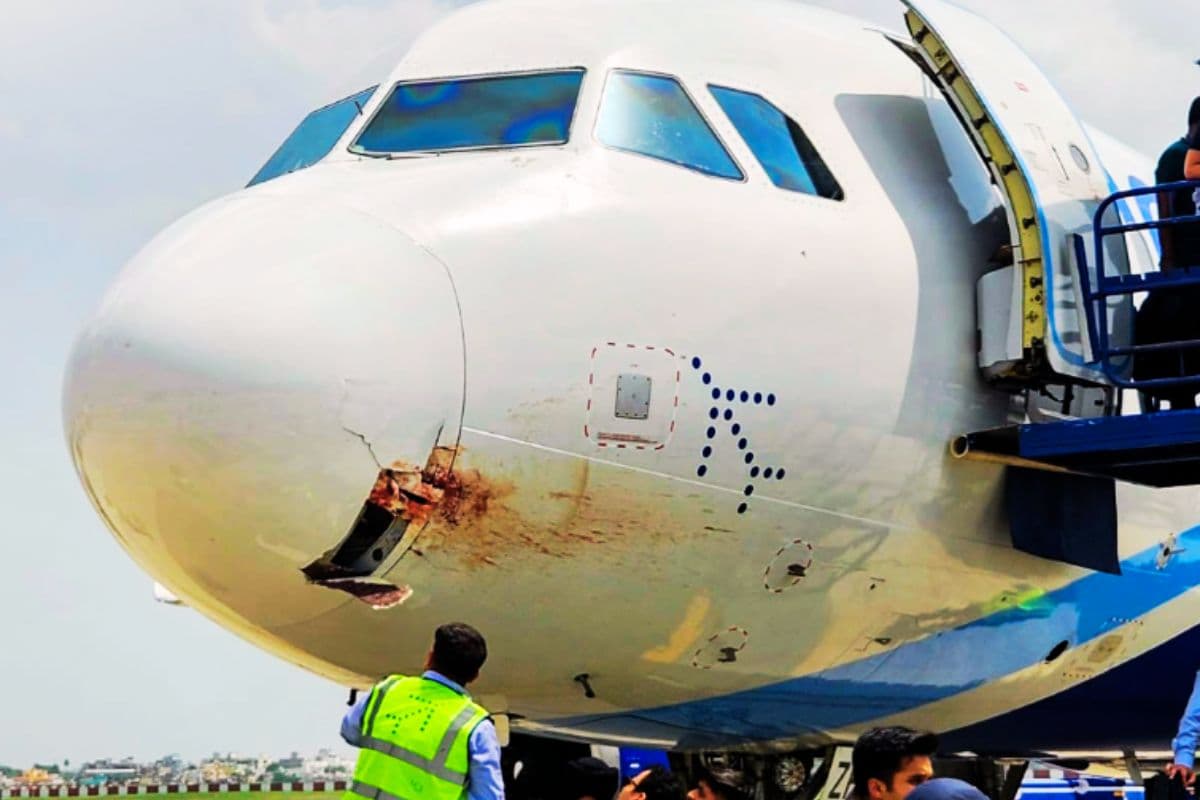 Indigo Flight Hit By Vulture