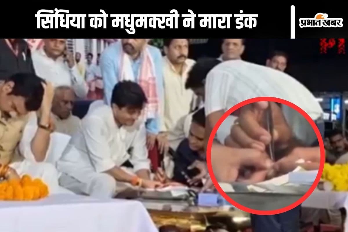 Watch Video : ज्योतिरादित्य सिंधिया को मधुमक्खी ने मारा डंक, दर्द से कराहने लगे, देखें वीडियो