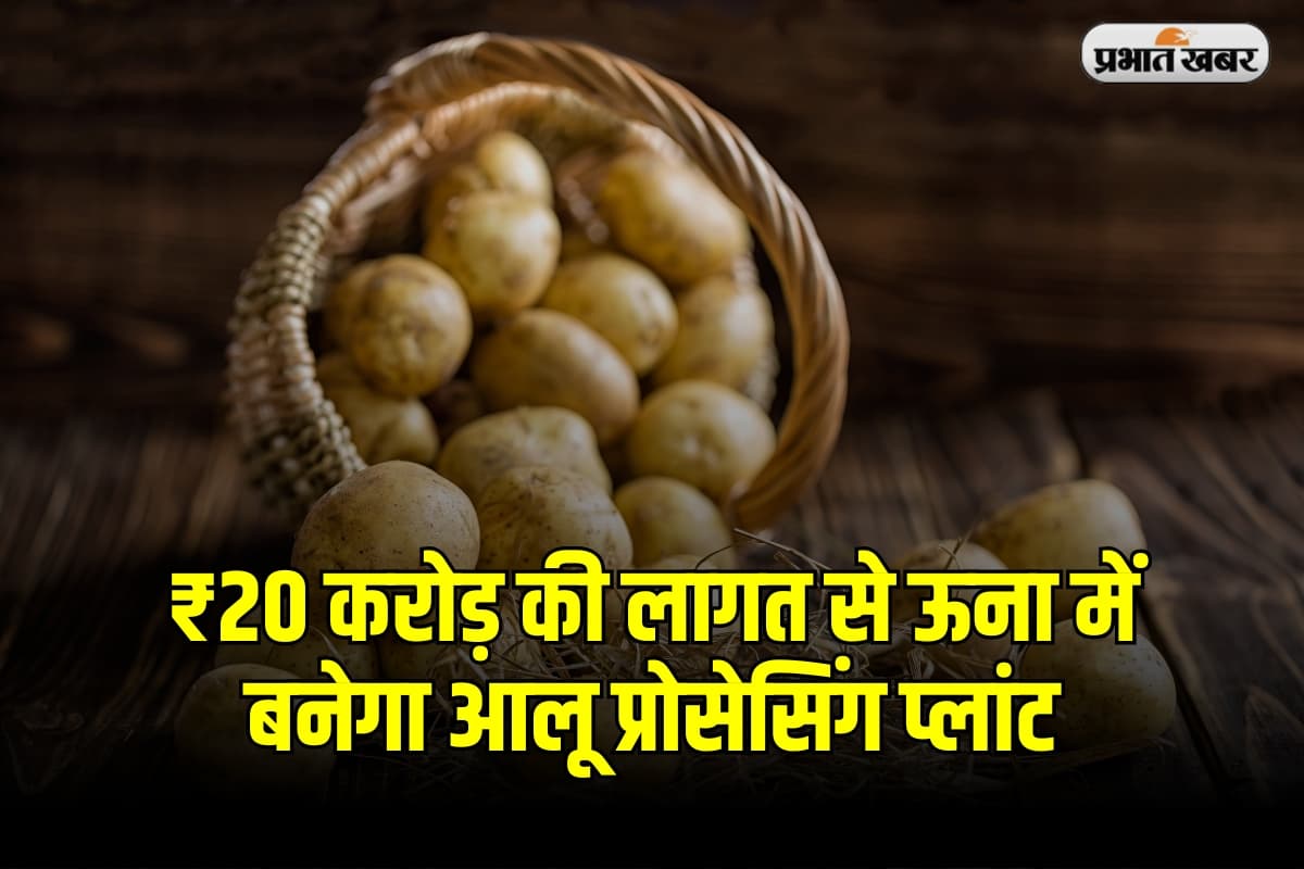 MSP: ₹20 करोड़ की लागत से ऊना में बनेगा आलू प्रोसेसिंग प्लांट, किसानों को मिलेगा फायदा
