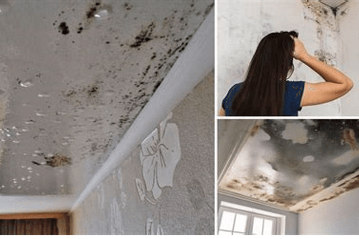 Monsoon Home Care Tips