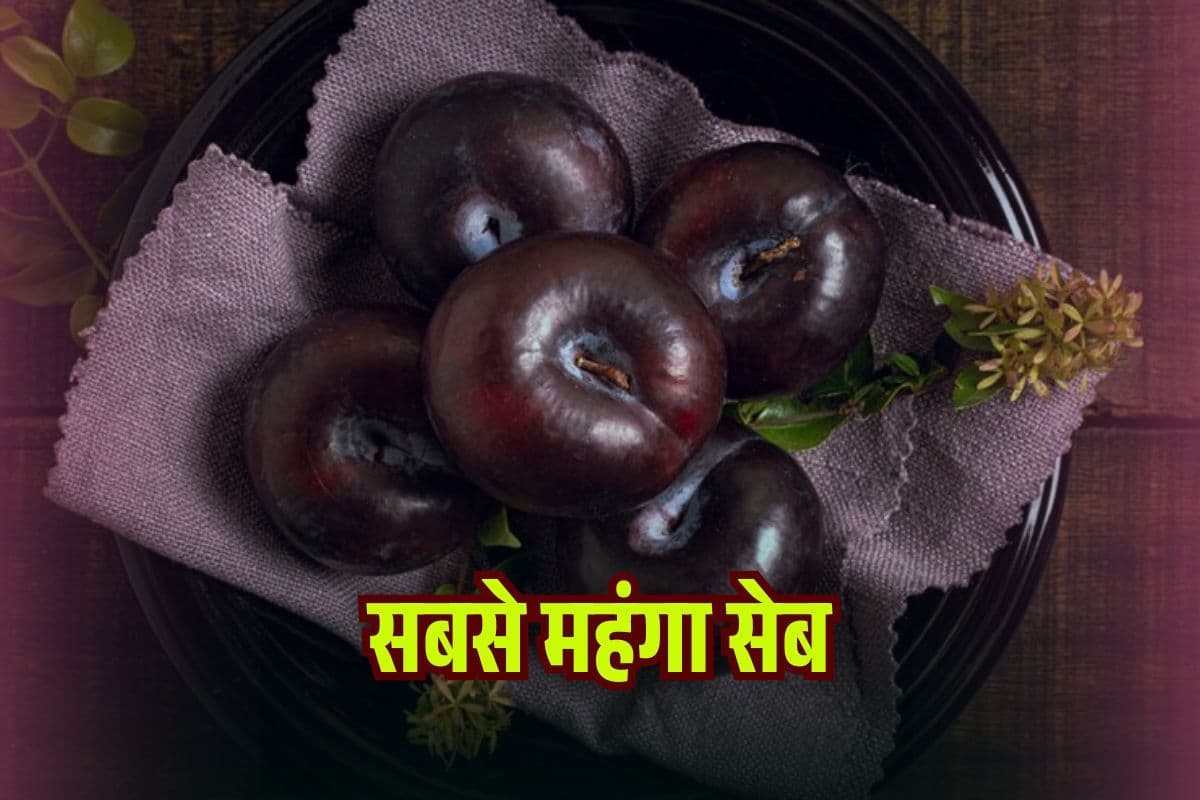 Most Expensive Apple: दुनिया का सबसे महंगा सेब कौन सा है? Black Diamond Apple की कीमत उड़ा देगी होश!