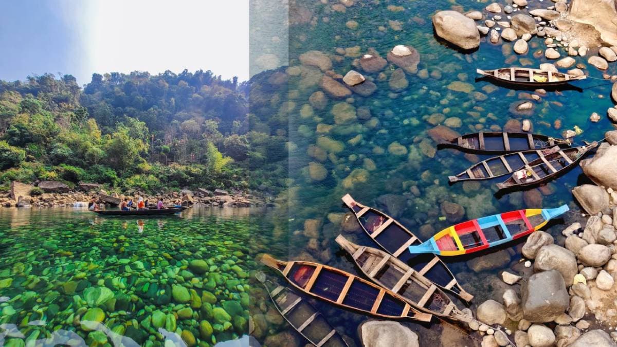 Crystal River: विदेश नहीं देश में हैं कांच की तरह साफ नदी का पानी, जानिए कहां  