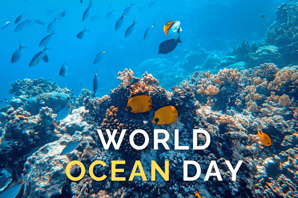 World Ocean Day 2025: महासागरों को बचाने का संकल्प, जानें इस दिन का महत्व और इतिहास
