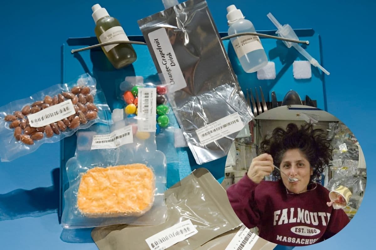Astronaut Food In Space