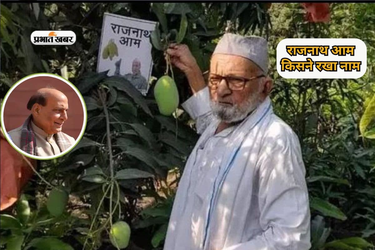बाजार में आ गया 'राजनाथ आम', नहीं जानते भारत के लोग किसने रखा नाम