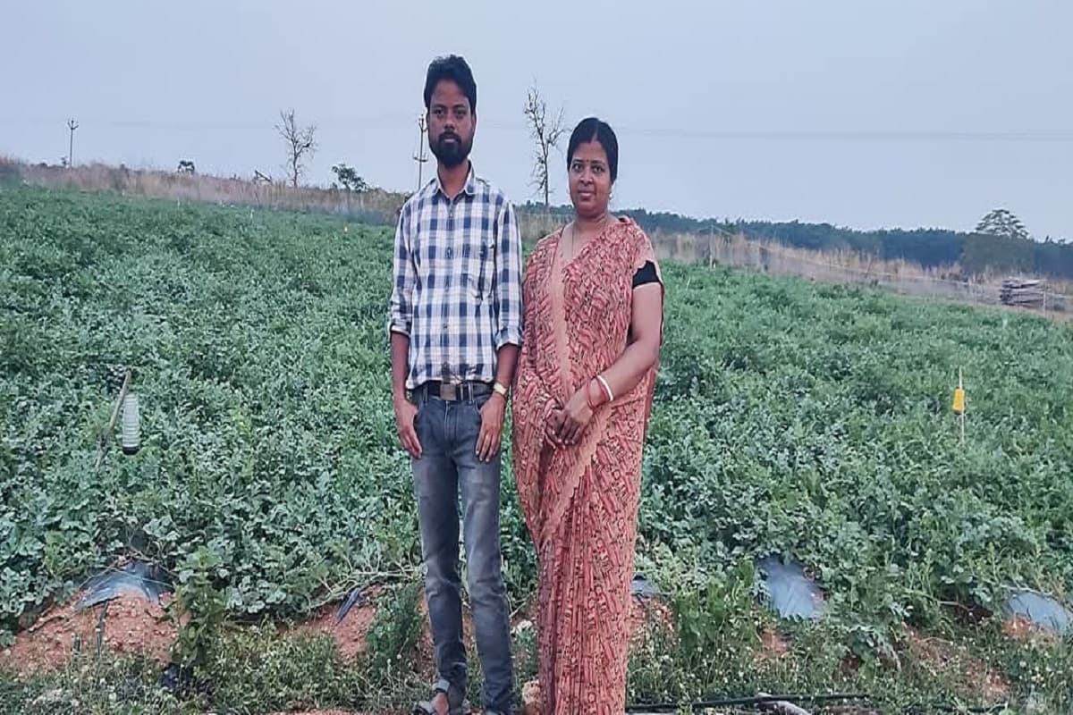 किसान के बेटे ने लिखी सफलता की कहानी, नौकरी के साथ खेती कर बंजर जमीन को बनाया सोना