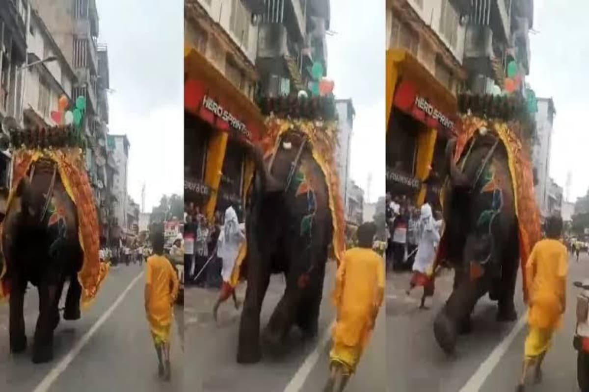 Rath Yatra: रथ यात्रा के दौरान बेकाबू हुए हाथी, दिख रही थी घबराहट, लोगों ने जताई चिंता, Video