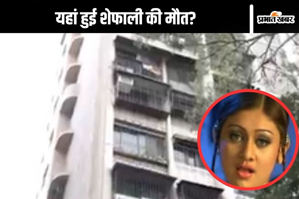 Shefali Jariwala Death : शेफाली जरीवाला की मौत इसी बिल्डिंग में हुई, वीडियो आया सामने
