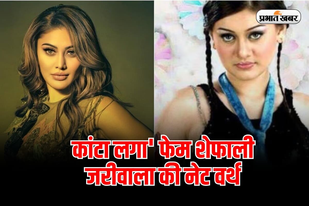 Shefali Jariwala Net Worth: कितनी संपत्ति की मालकिन थी 'कांटा लगा' फेम शेफाली जरीवाला