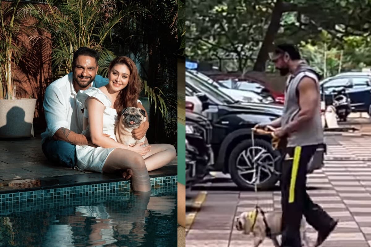 Shefali Jariwala Husband New Video: हाथ में पत्नी की तसवीर लेकर इस शख्स संग घूमते दिखे पराग त्यागी, फैंस बोले- शेफाली ने…