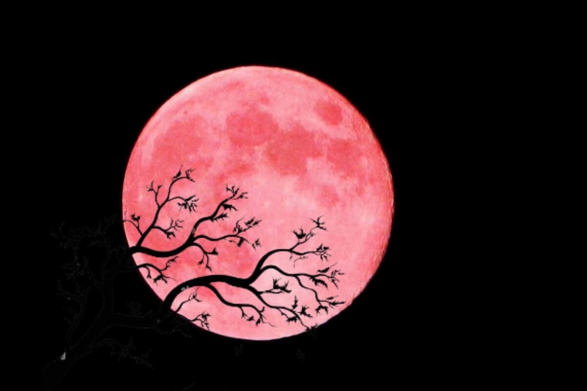 Strawberry Moon 2025