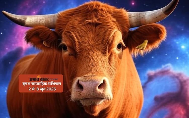 Taurus Weekly Horoscope 2 से 8 जून 2025, अचानक कुछ खर्चे सामने आ सकते हैं