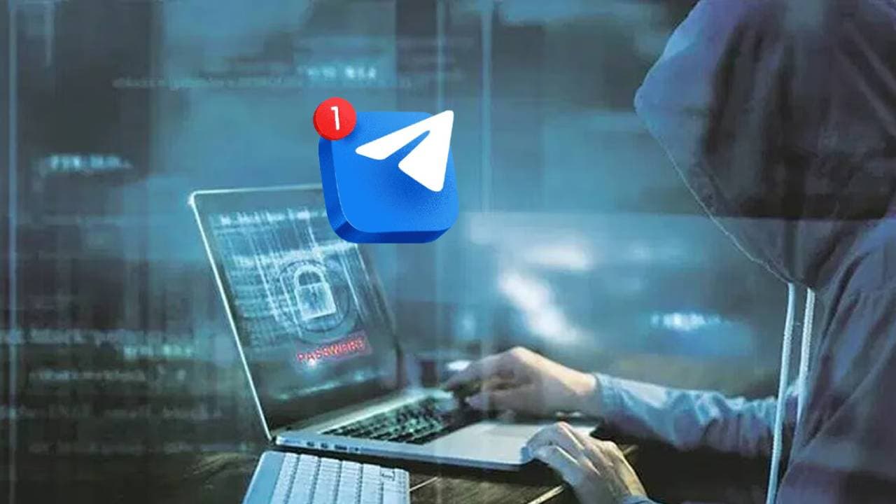 Telegram Bot selling data