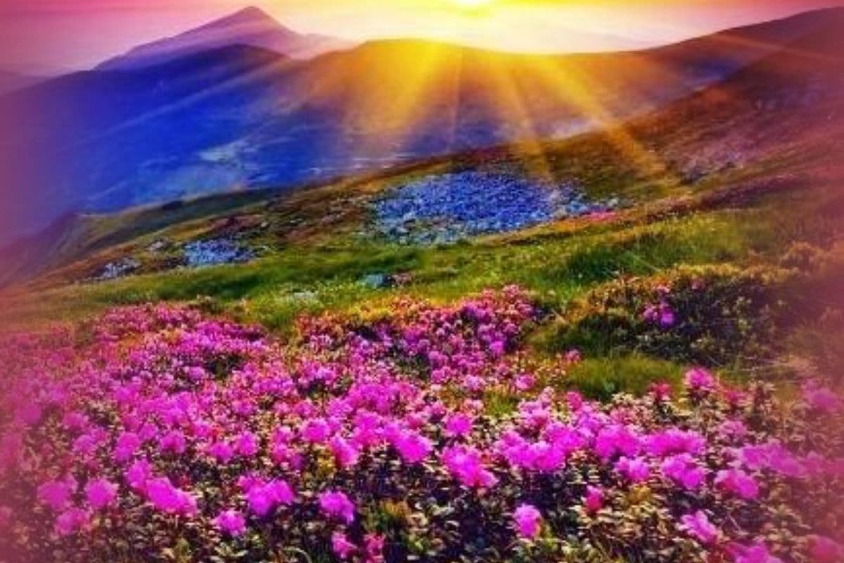 UNESCO WHC Site Valley of Flowers