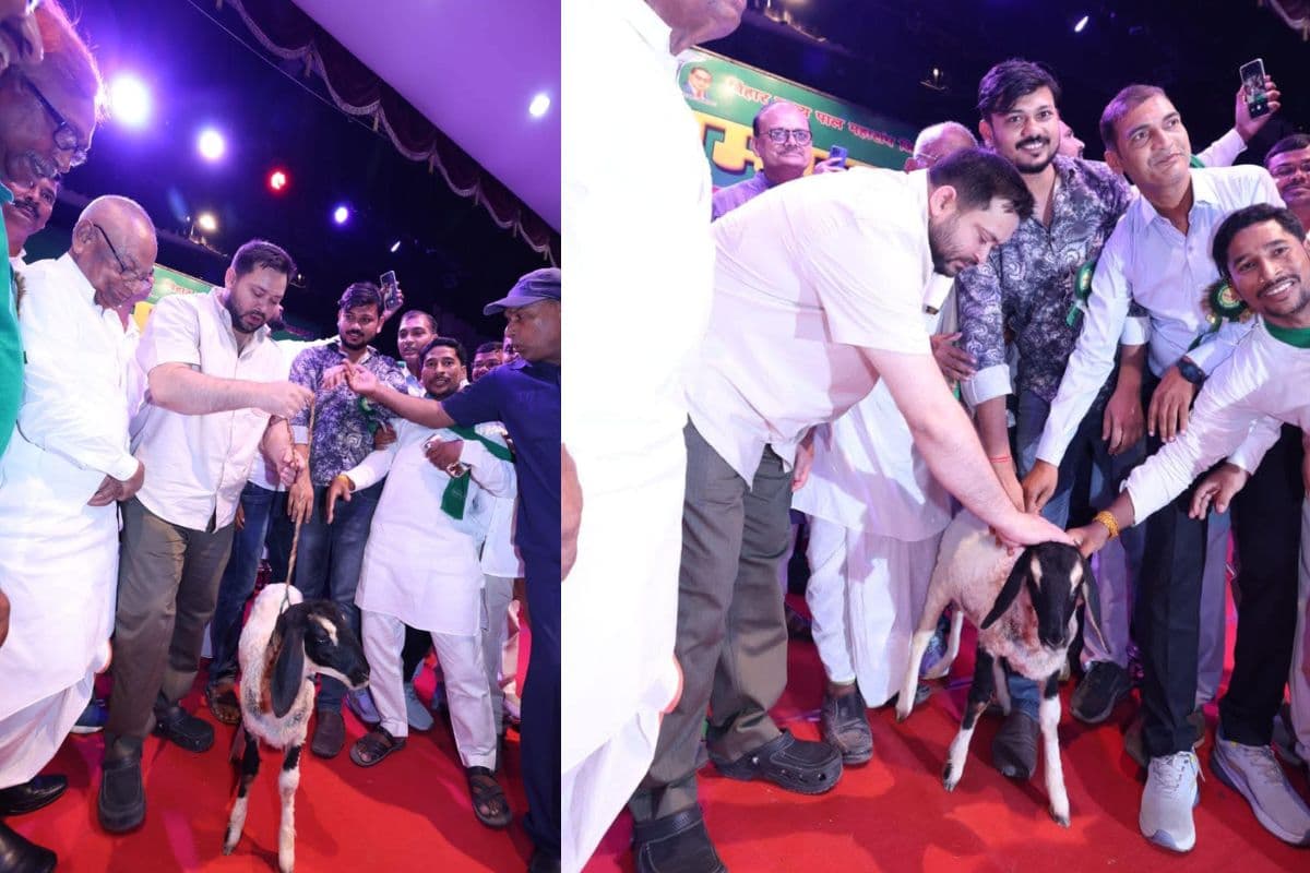 Bihar RJD: लालू के छोटे लाल तेजस्वी मंच पर अचानक घुमाने लगे भेड़, देखते रह गए लोग, फिर पता चला ये था मामला…