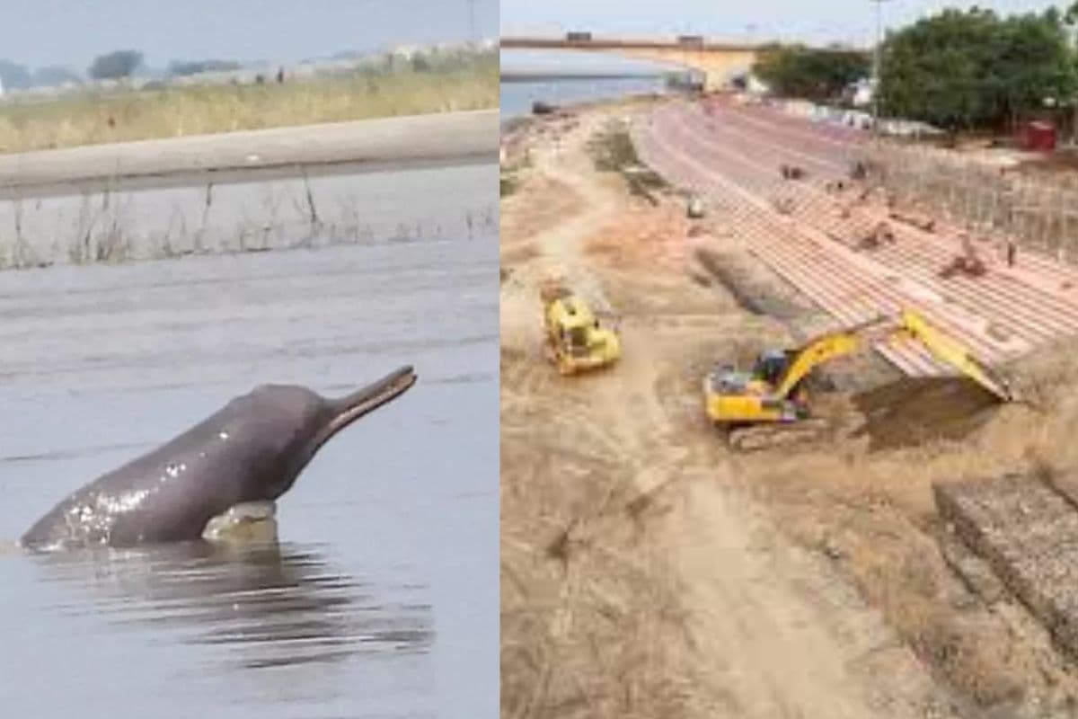 Bihar Tourism dolphine and fun activities gift for people of this district