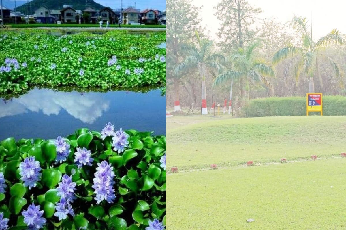 Bihar News: भागलपुर में पार्कों और तालाबों के सुधरेंगे दिन, विभाग से मिली मंजूरी, जानिए क्या-क्या होगी सुविधाएं…