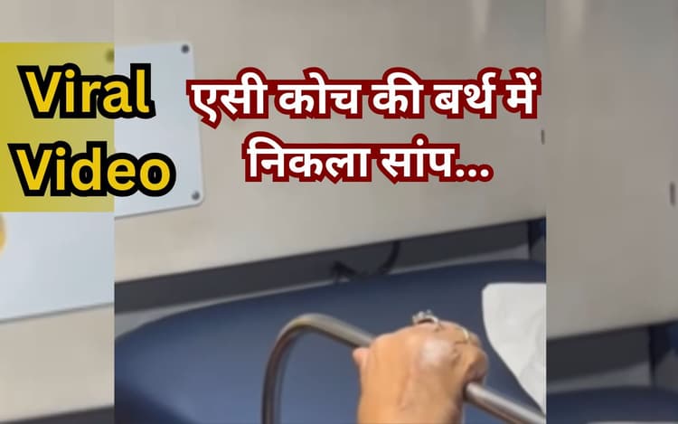 Video Viral: ट्रेन यात्री सावधान! एसी कोच की बर्थ में मिल रहे हैं सांप, वीडियो वायरल