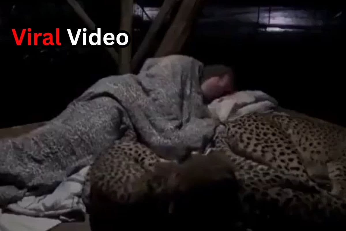 Viral Video: खूंखार चीते के साथ सोता है यह शख्स, वीडियो देखकर कांप जाएगा कलेजा!