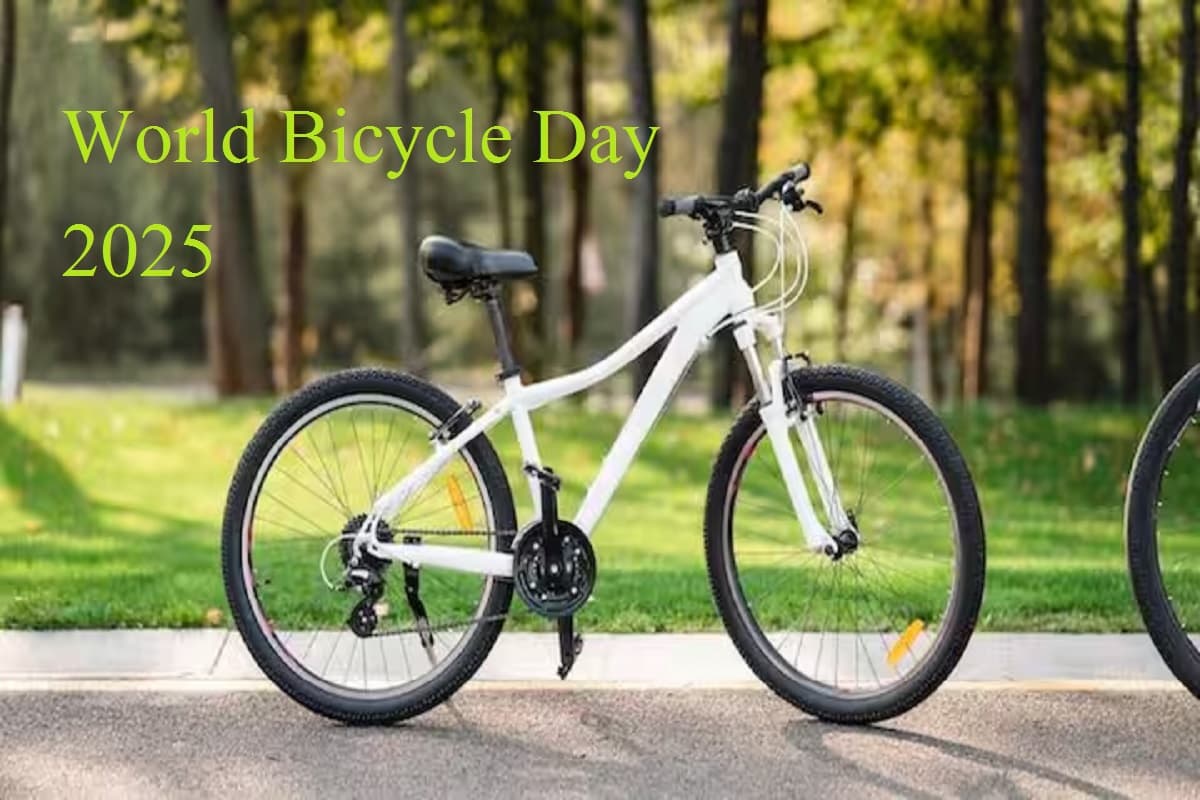 World Bicycle Day: शान की सवारी, अब बनी सेहत की सवारी, फिर से युवाओं में बढ़ने लगा है साइकिल का क्रेज