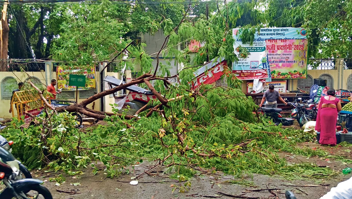 Gopalganj News : आंधी-पानी ने मचायी भारी तबाही, कलेक्ट्रेट कचहरी में गिरे पेड़, आधा दर्जन लोग घायल