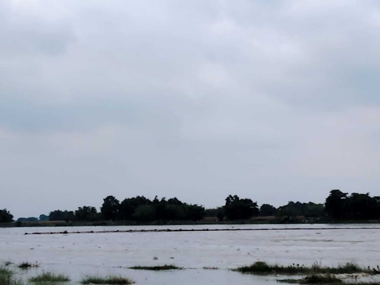 ठाकुरगंज प्रखंड क्षेत्र की नदियों का बढ़ा जल स्तर