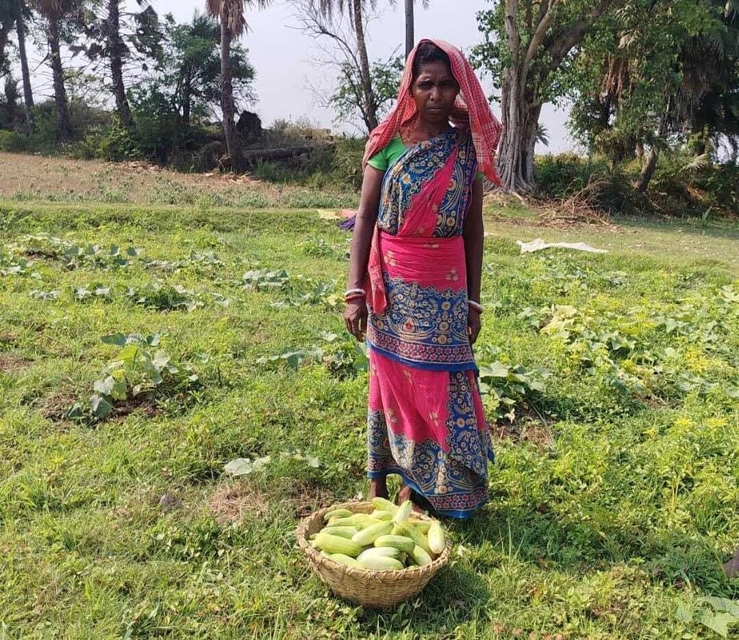 खेतीबाड़ी का प्रशिक्षण प्राप्त कर बसंती मुर्मू कर रही है उन्नत खेती