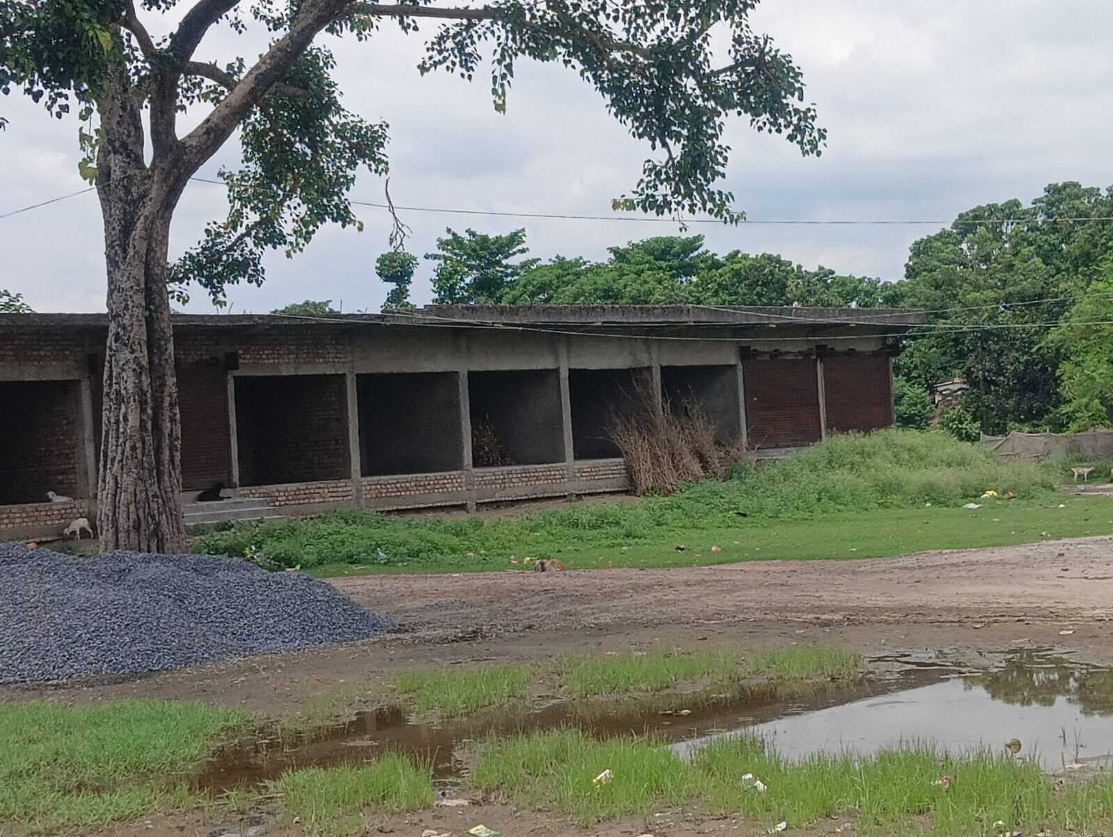 जिला परिषद की भूमि अतिक्रमण से होगी मुक्त, लाभुकों को मिलेगा दुकानों का आवंटन