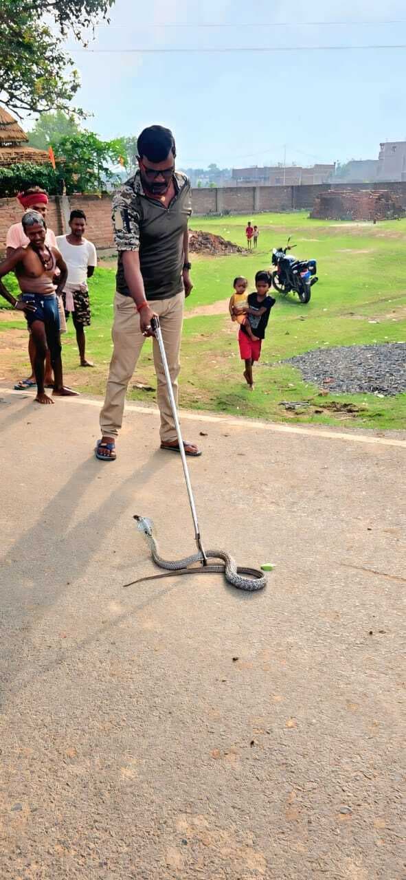 बाथरूम के बेसिन में छिपा था जहरीला सांप, स्थानीय युवक ने किया रेस्क्यू