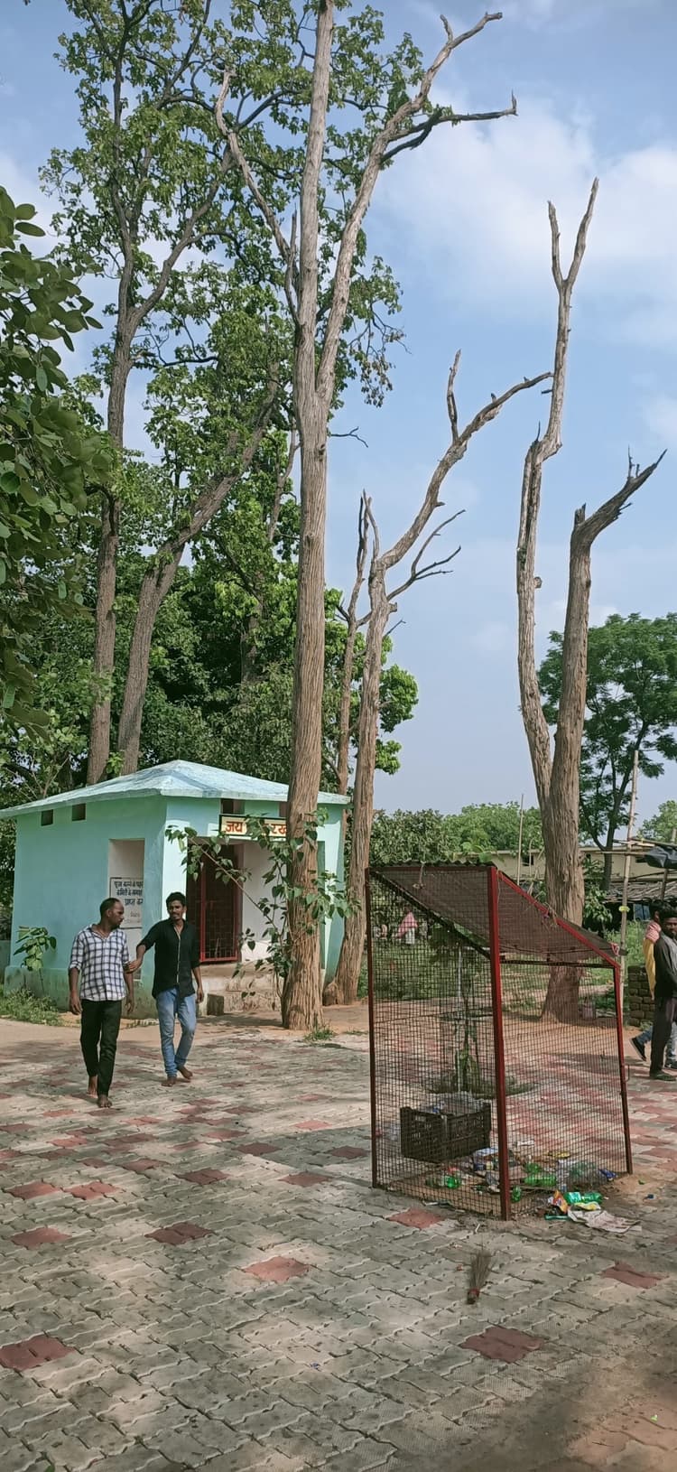 Bokaro News : खूंटा बाबा परिसर के सूखे पेड़ दे रहे दुर्घटना को आमंत्रण