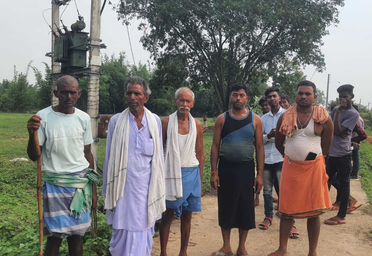 ट्रांसफॉर्मर की चपेट में आने से दो मवेशियों की मौत