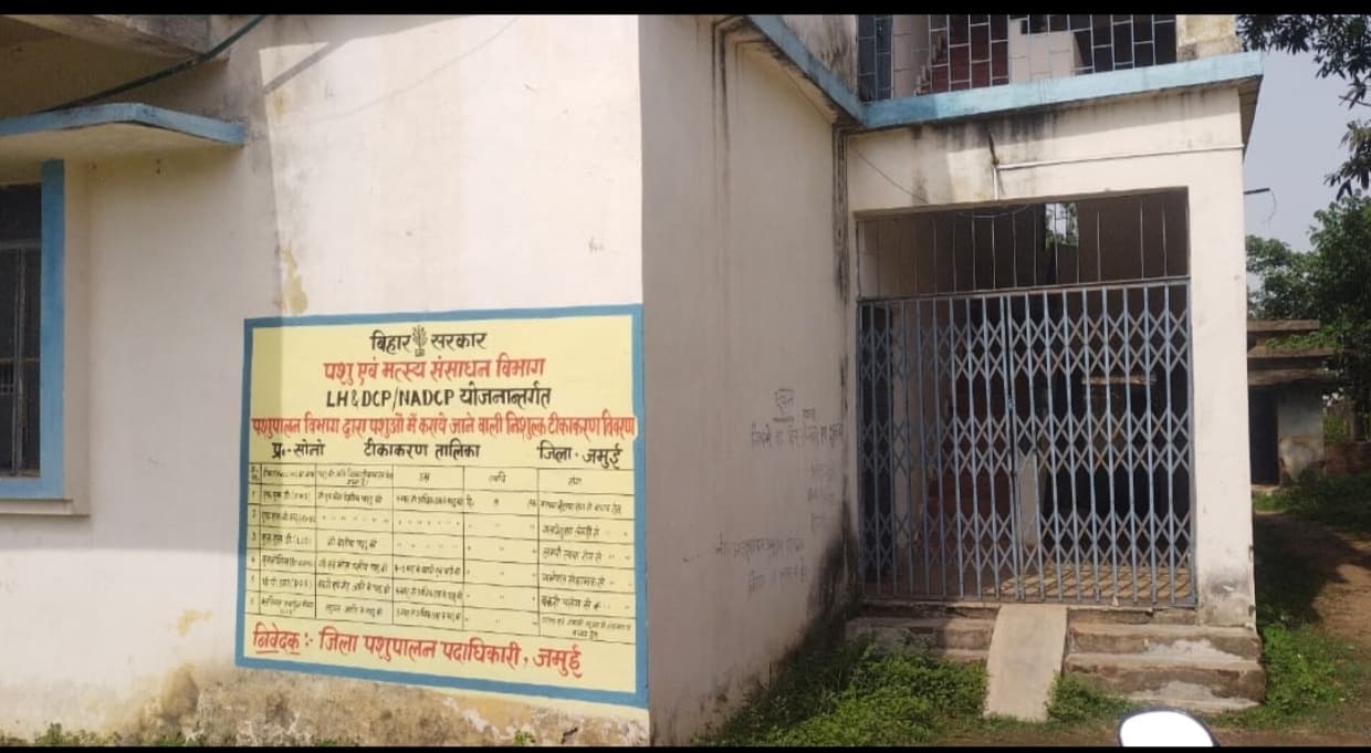 हाथी का दांत साबित हो रहा है सोनो का पशु अस्पताल