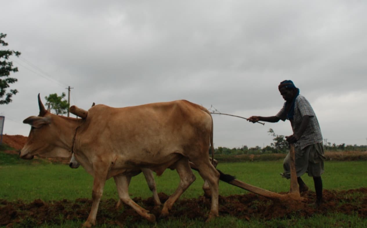 Seraikela Kharsawan News : समय से पहले मौसम मेहरबान, मई में तीन गुना अधिक बारिश
