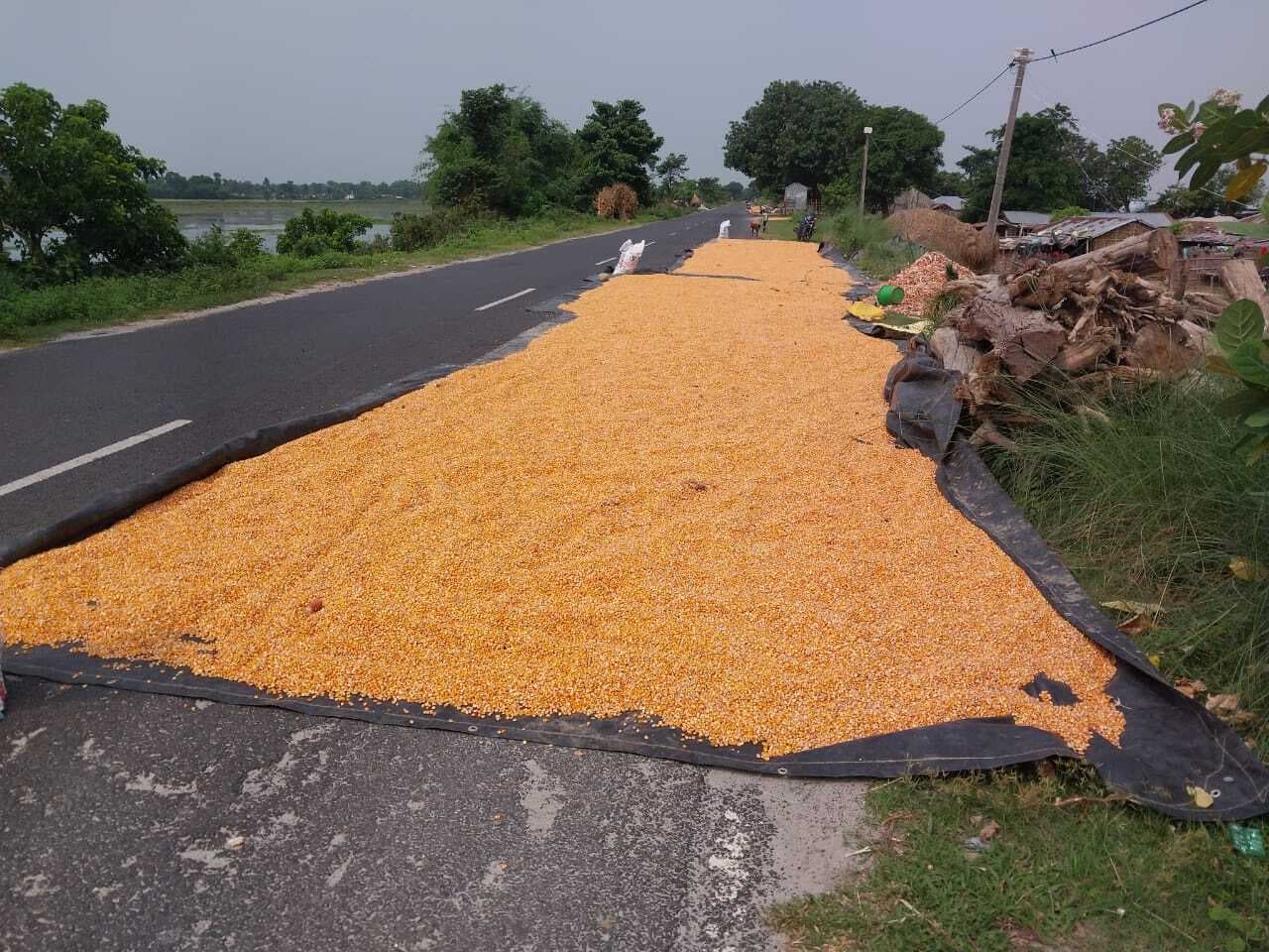 सीमा सुरक्षा सड़क पर मक्का सुखाने से हादसा का खतरा