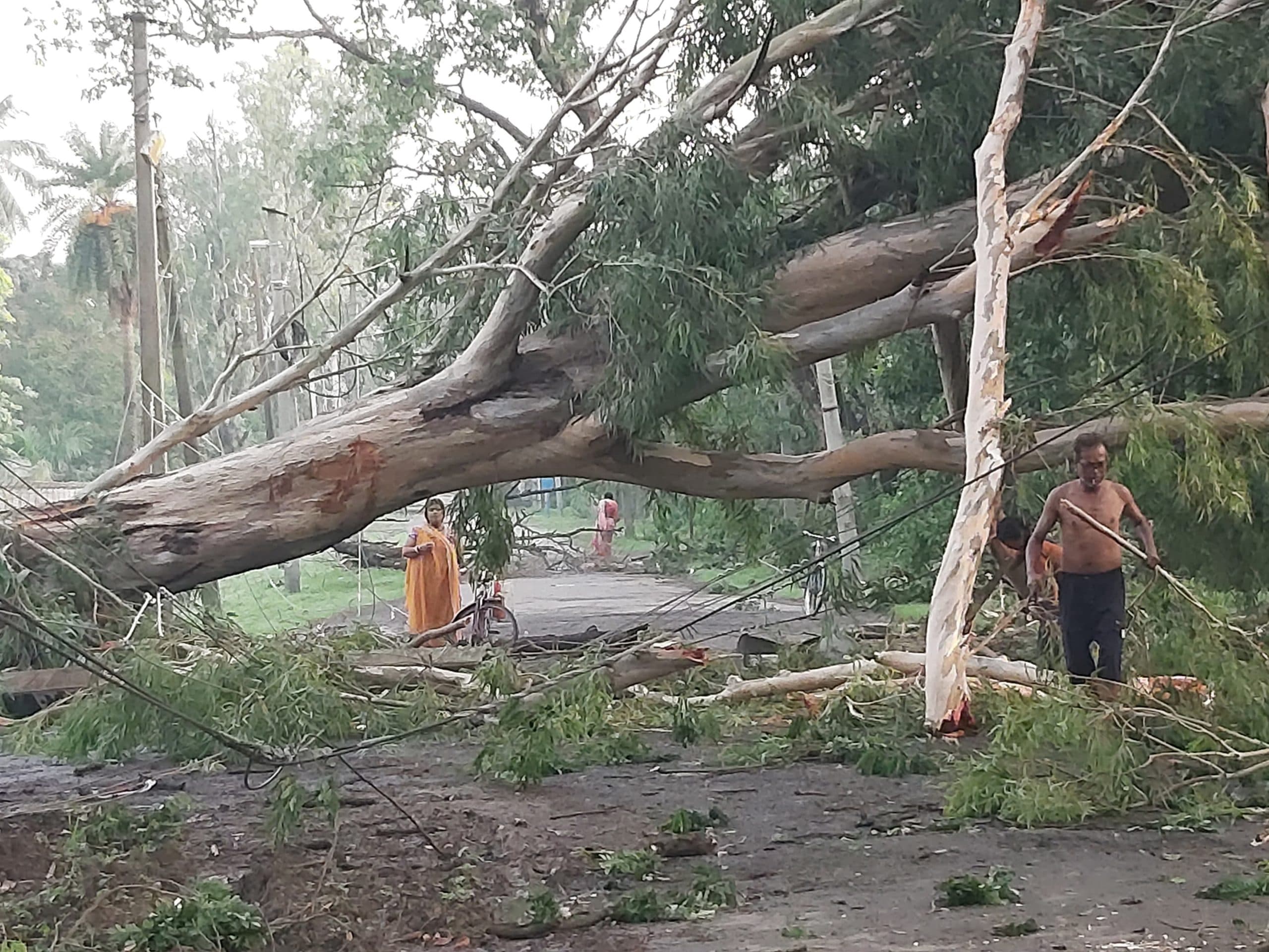 फरक्का में तेज आंधी से सड़क पर गिरे पेड़, यातायात बाधित