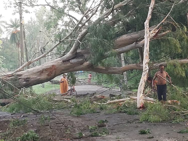 फरक्का में तेज आंधी से सड़क पर गिरे पेड़, यातायात बाधित