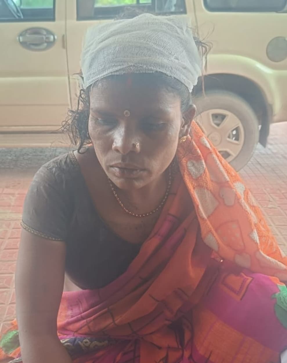 बकरी के विवाद में मारपीट,  एक ही परिवार के तीन घायल